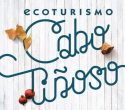 WhatsApp Image 2022 10 07 at 13.35.14